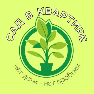 Сад в квартире | Комнатные растения и цветы