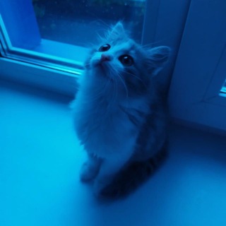 если честно