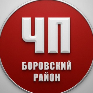 ЧП Боровский район