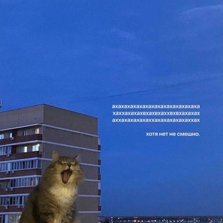 несмешные шутки.