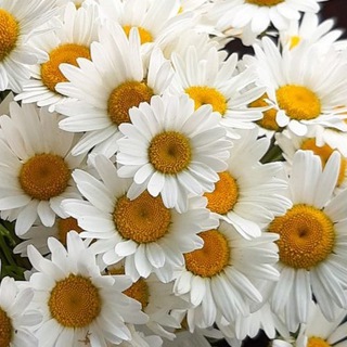 Стильные открытки