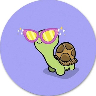 Черепашка | Юмор