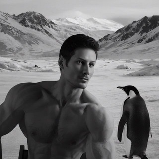 Канал Таповича