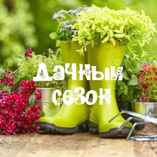 ДАЧНЫЙ СЕЗОН