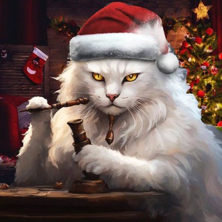 Белее белого 🐈‍⬛ Мемы