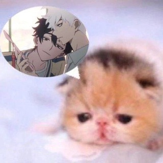 ООО "АРИНА ВАХУЕ"