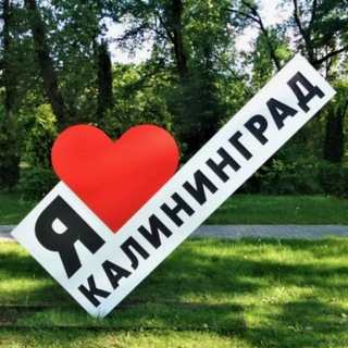 Калининград новости сегодня сейчас