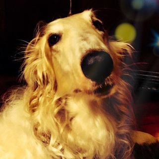 флуды confession