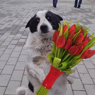 Тимашевск Новости