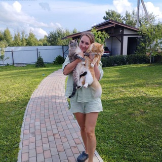 Сквозь пробки на Дачу