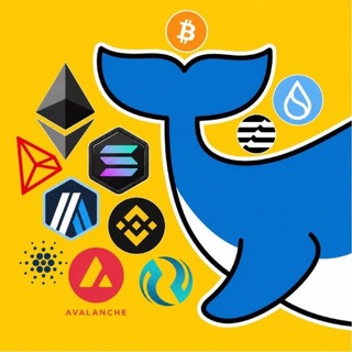 𝗕𝗜𝗚 𝗪𝗛𝗔𝗟𝗘𝗦 𝗖𝗔𝗟𝗟™