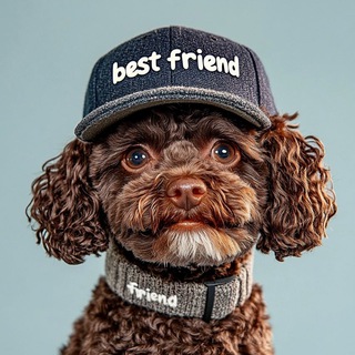 ЗооАптека🐶