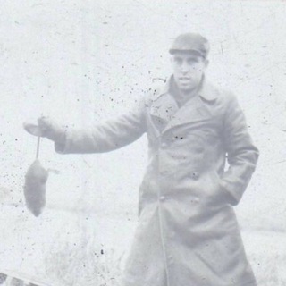 шедевры госкаталога