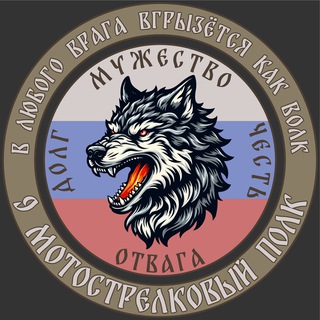 БАЛТИЙСКИЕ ВОЛКИ