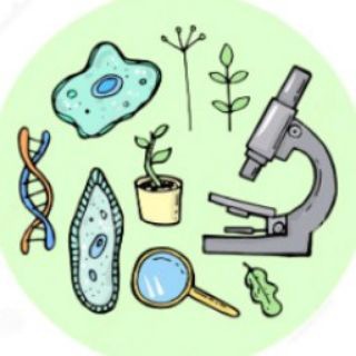 ЗУБ: записки учителя биологии