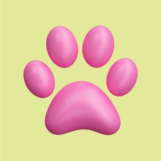 Т—Животные