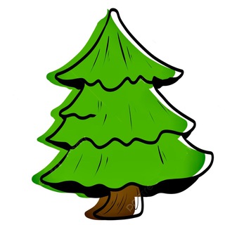 Сосна в подарок