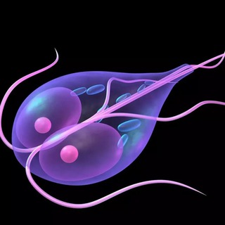 Лямблия | Сashback | WB OZON