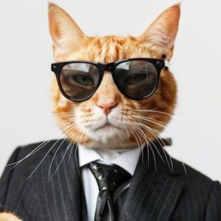 Финансовый диссидент от Котского