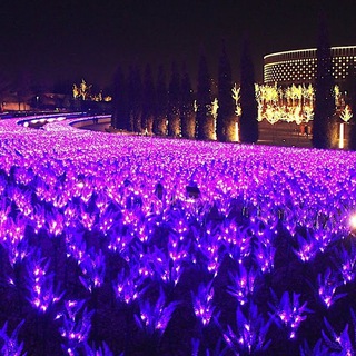 Парк Галицкого