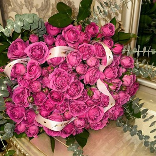 𝓪𝓲𝔃𝓪𝓼𝓼❣️