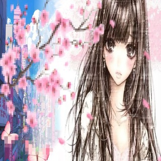 𐙚 ֺ 𝘴𝘦𝘢𝘳𝘤𝘩 𝘧𝘳𝘪𝘦𝘯𝘥𝘴 𝘤𝘧 ! ⌕ 🌸