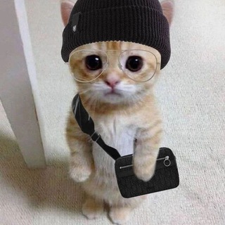 стикеры для тг премиума | эмодзи для тг премиума | премиум эмодзи