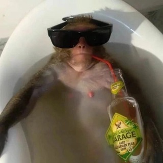 тихон плотный ворк