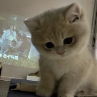 сладкое послание