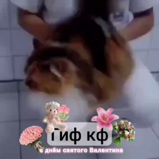 GIF confession >< #гифКф