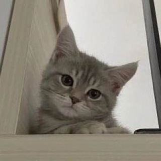 БратишкаНаказывает&#33;