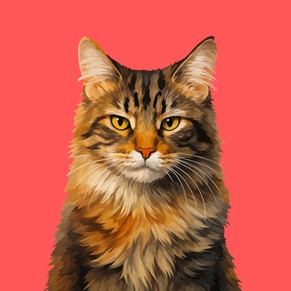 Кот Боря: Психолог с лапками