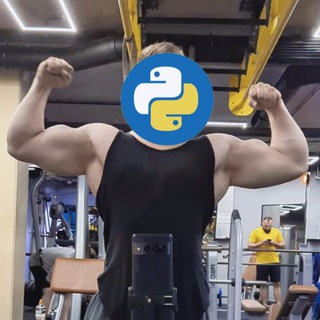 Абьюзер ChatGPT | 🐍 Python , C++, Freelance