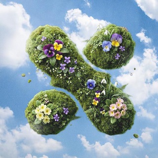 Парк «ХОДЫНСКОЕ ПОЛЕ»