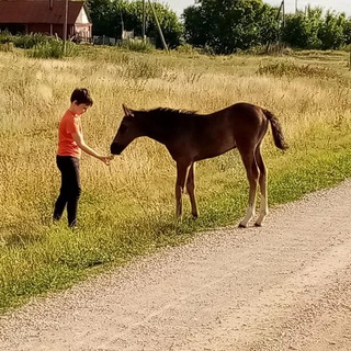 Истории Ирины Ас