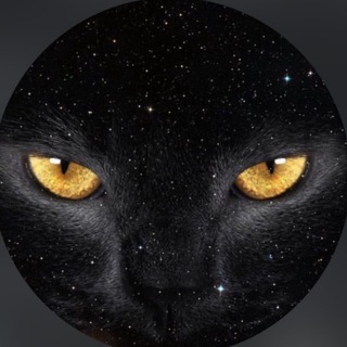 Обаяние лунного света