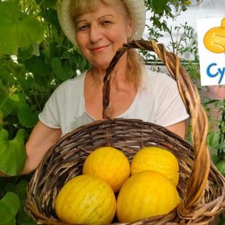 Фазенда с Васильевной