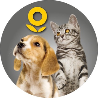 Зоомаркет Лента | У нас уютно