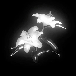 Чёрное послание