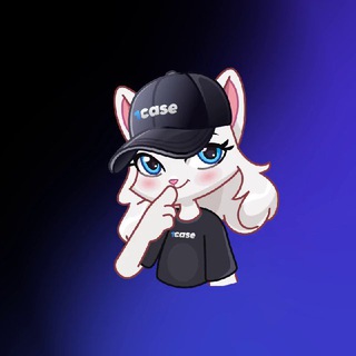 1CASE🐰