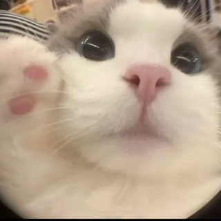 Юля Годунова Resale