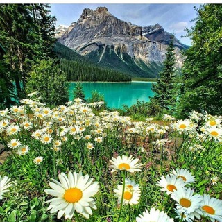 Природа родного края