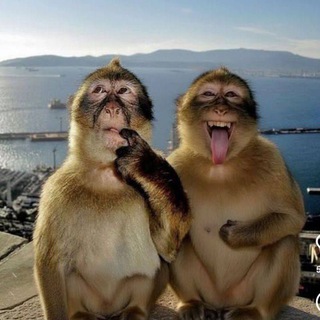 подарки от воскреса