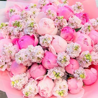 Доставка цветов🌹