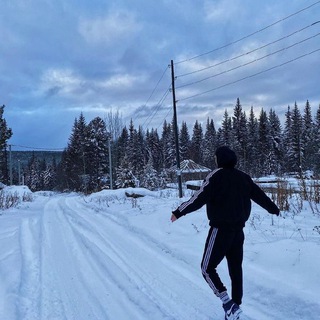 звезды от fenix