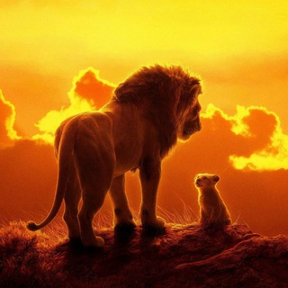 LION TEAM РОЗЫГРЫШ6️⃣4️⃣✊