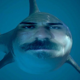 Поздняков. Приватка. Запостить