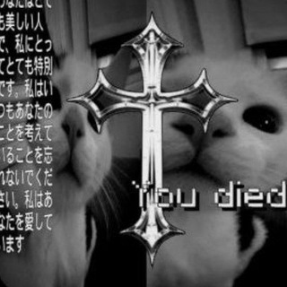 PRIME• Раздачи