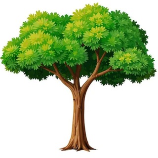 Звезда для тебя