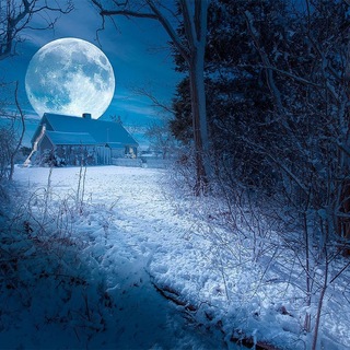 Наш Север. Люди и события